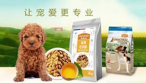 中國十大寵物食品品牌榜中榜 科學(xué)喂養(yǎng)，從選對(duì)主糧與零食開始
