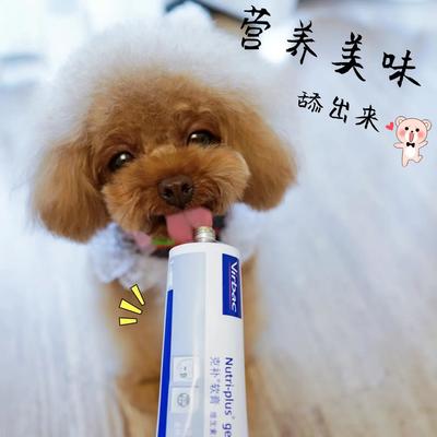 專業(yè)高效，合規(guī)清關(guān) 荷蘭寵物魚油膠囊進(jìn)口報(bào)關(guān)全程指南